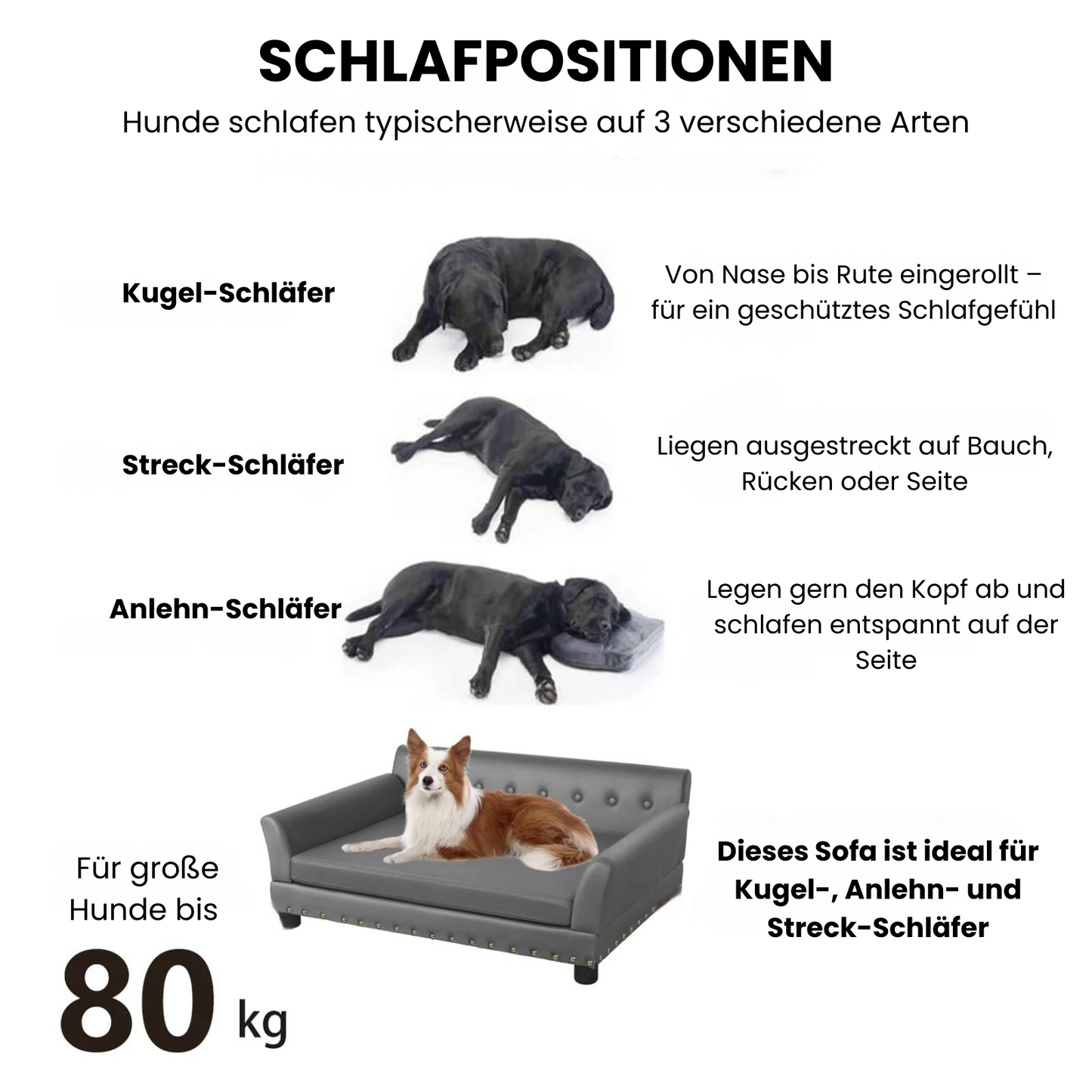 Luxus Hundesofa in Lederoptik – Stilvoll, bequem & perfekt für große Fellnasen