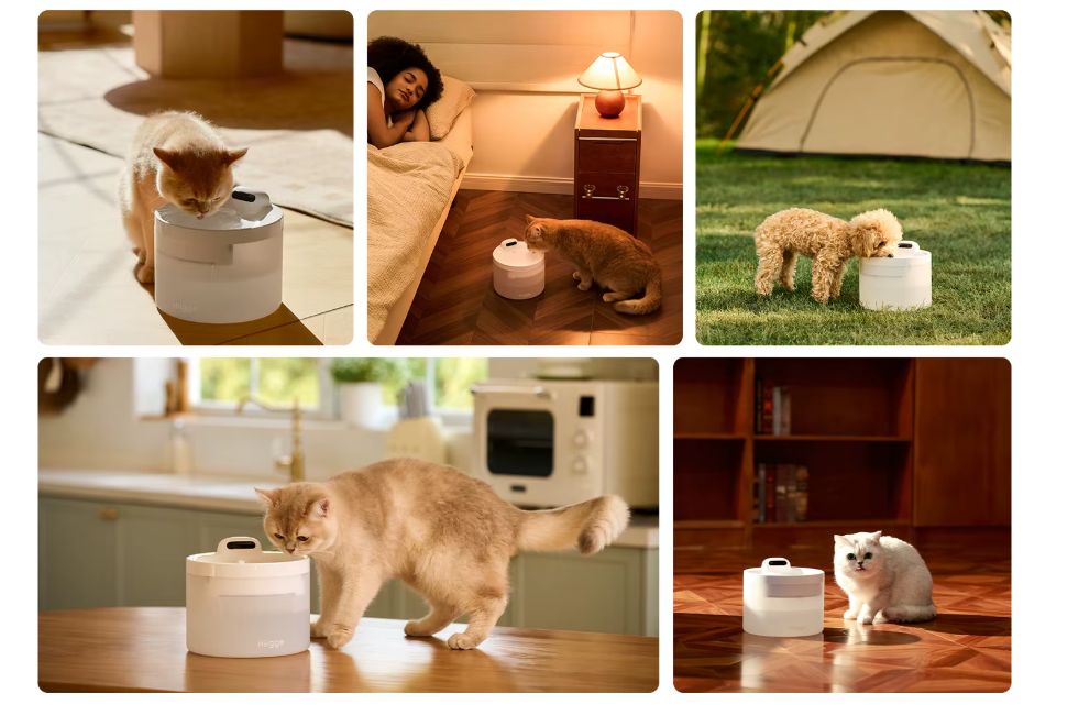 Hiigge Snowball SE – Smarter Wasserbrunnen für glückliche Katzen & Hunde (kabellos, 96 Tage Laufzeit)