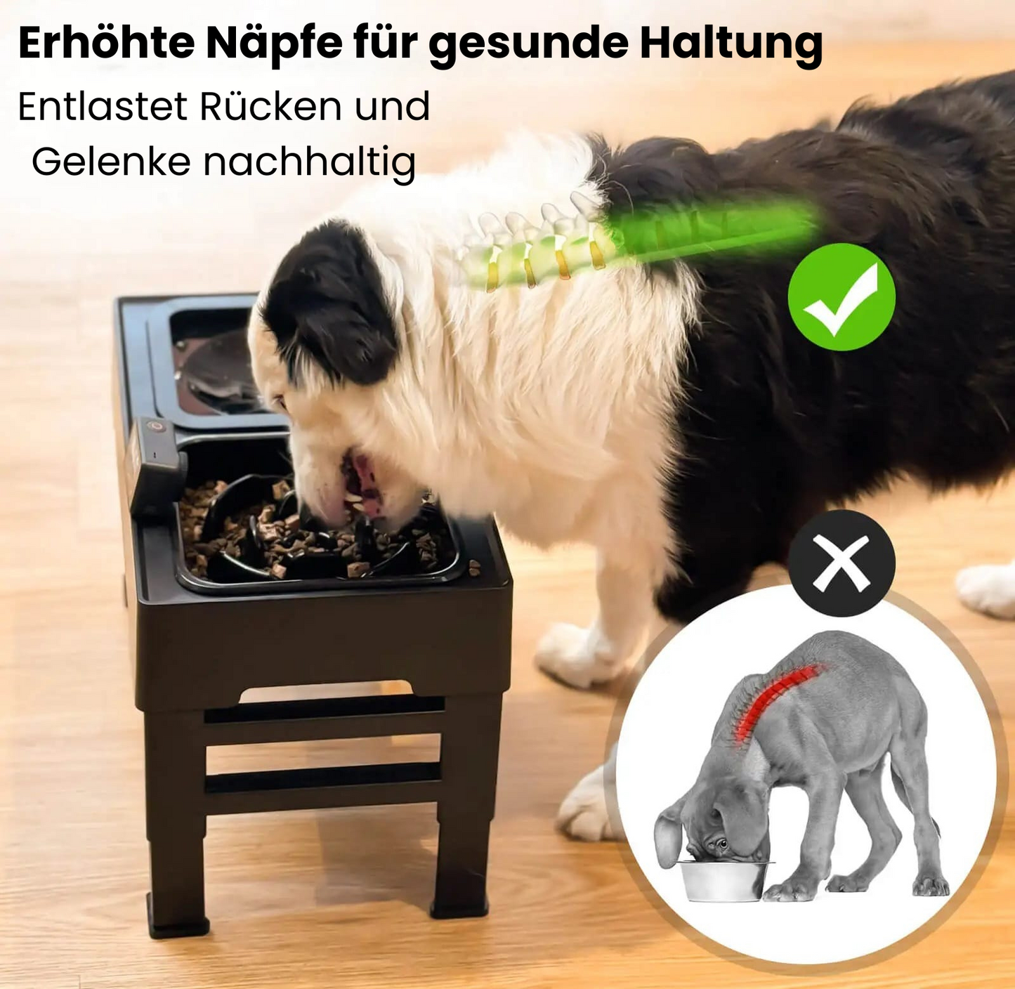 Anti-Sabber & Anti-Schling Napf – Höhenverstellbarer Futternapf für gesunde Hunde