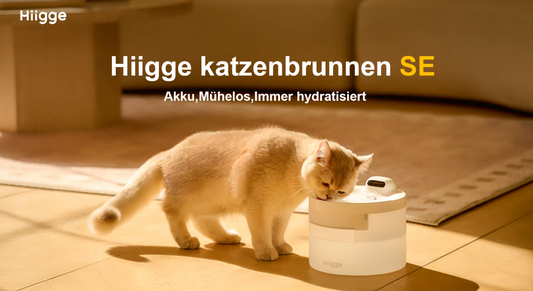 Hiigge Snowball SE – Smarter Wasserbrunnen für glückliche Katzen & Hunde (kabellos, 96 Tage Laufzeit)